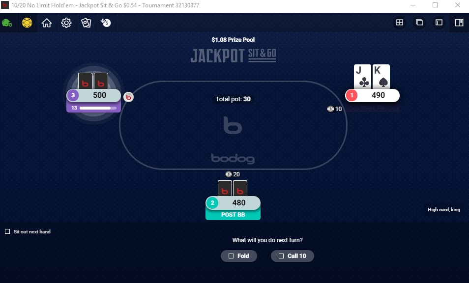 Скриншот Bodog Poker