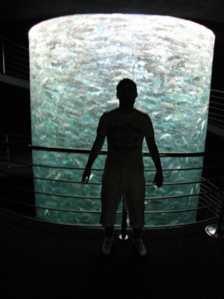WYSIWYG:128223_900153_900154.JPG