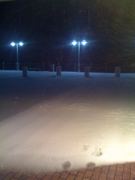 WYSIWYG:13225_768205_768206.JPG