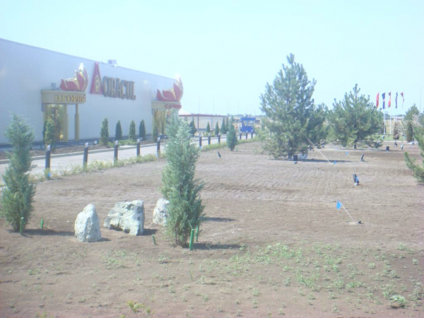 WYSIWYG:3241_1541775_1541776.jpg