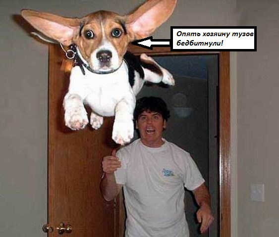 WYSIWYG:32729_1523541_1523542.jpg