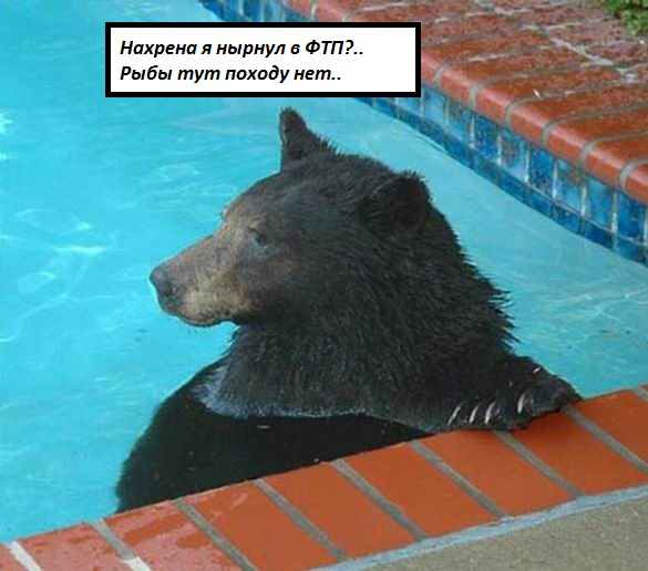 WYSIWYG:32729_1523543_1523544.jpg