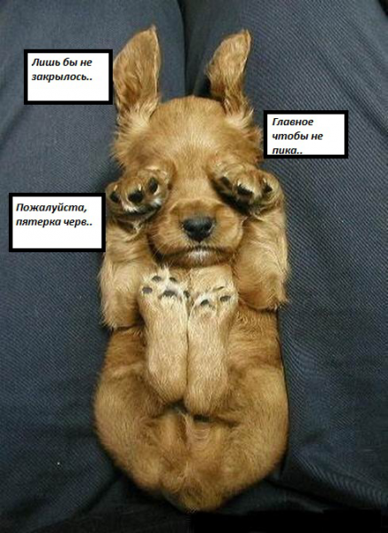 WYSIWYG:32729_1523549_1523550.jpg