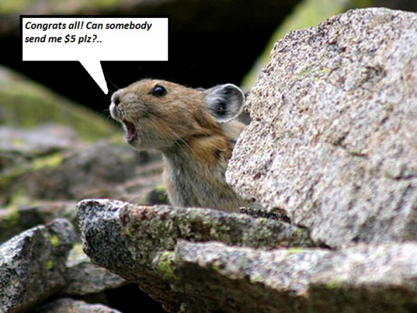 WYSIWYG:32729_1523557_1523558.jpg