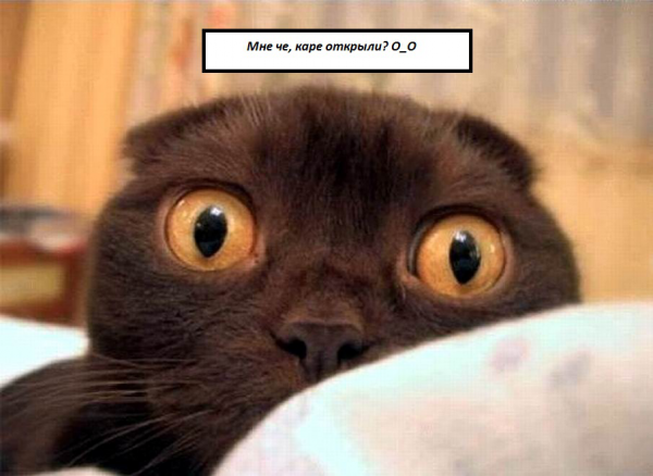 WYSIWYG:32729_1523561_1523562.jpg