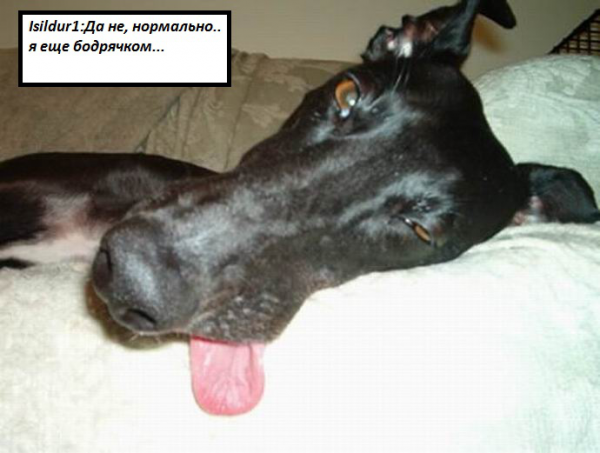 WYSIWYG:32729_1523563_1523564.jpg