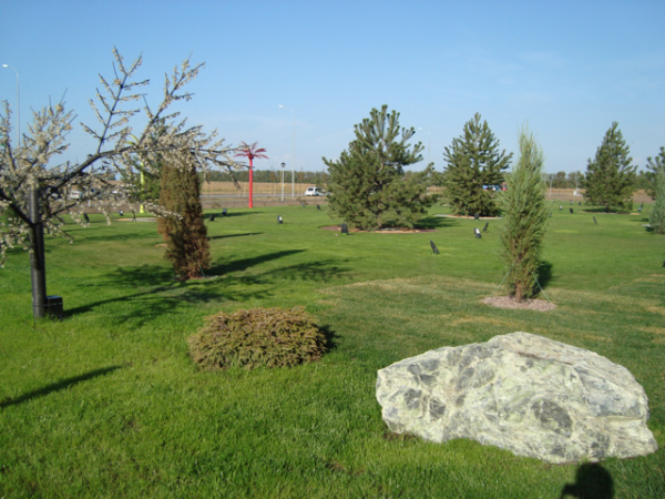 WYSIWYG:3581_1709276_1709277.jpg