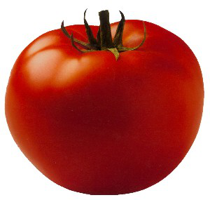 WYSIWYG:536455_2021163_2021164.jpg