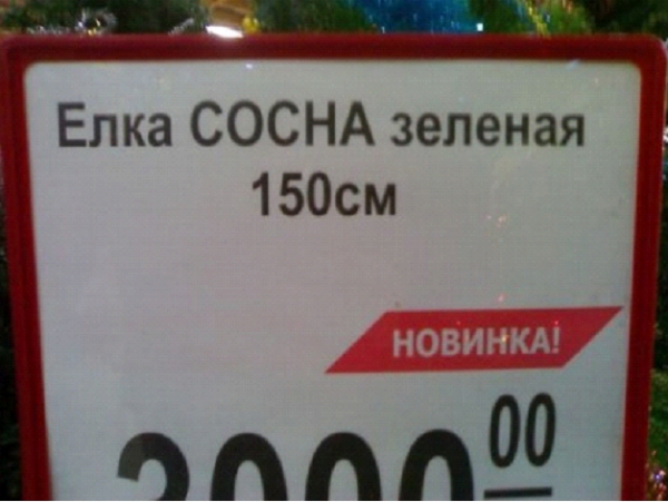 WYSIWYG:7616_1471271_1471272.jpg