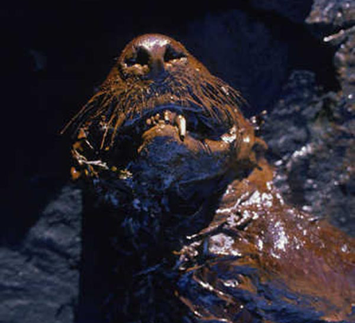 WYSIWYG:7616_1514698_1514699.png
