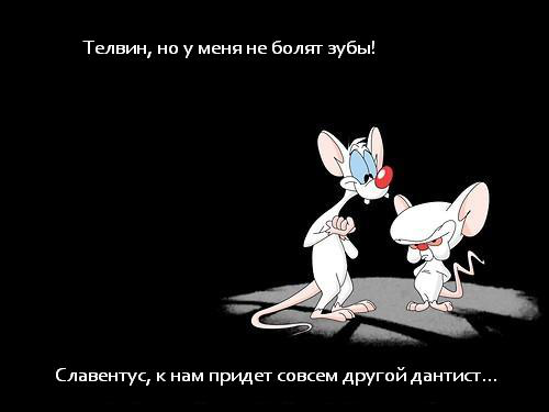 WYSIWYG:9028_2817881_2817882.JPG