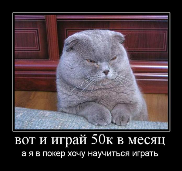 WYSIWYG:93315_2741417_2741418.jpg