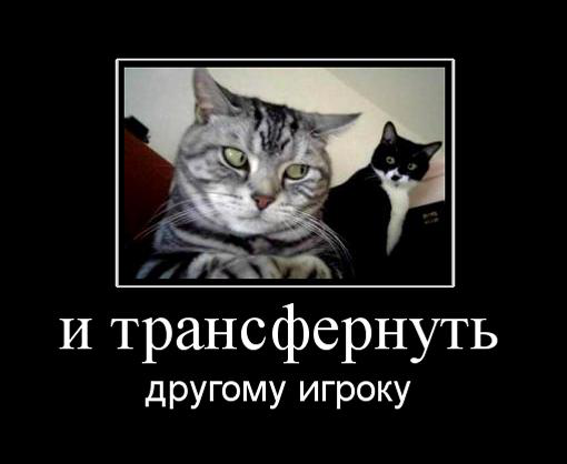 WYSIWYG:93315_2741501_2741502.jpg