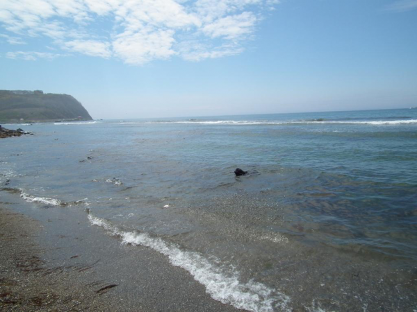 WYSIWYG:93315_2835884_2835885.JPG
