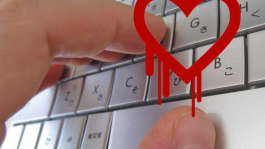 Смени пароль на Skrill (немного об уязвимости Heartbleed)