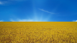 Онлайн покер в Украине Онлайн покер в Украине