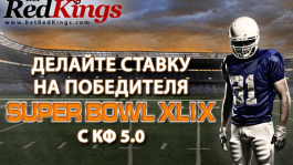 КФ 5.0 на финальный матч Super Bowl XLIX на BetRedKings