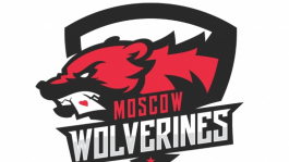 Известны первые тиммейты NL_Profit'а в команде «Moscow Wolverines»