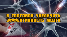 6 способов достичь максимальной эффективности мозга для игры в покер