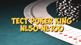 Тест рума Poker King (Winning), лимиты nl50-nl100