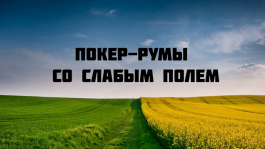 Слабое поле может приносить больше, чем рейкбек в 2024 году