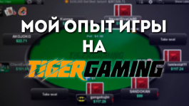 Мой опыт игры в руме TigerGaming