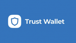 Trust Wallet: возможность покупки крипты за рубли, грядущие обновления и FAQ